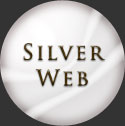 silver website package